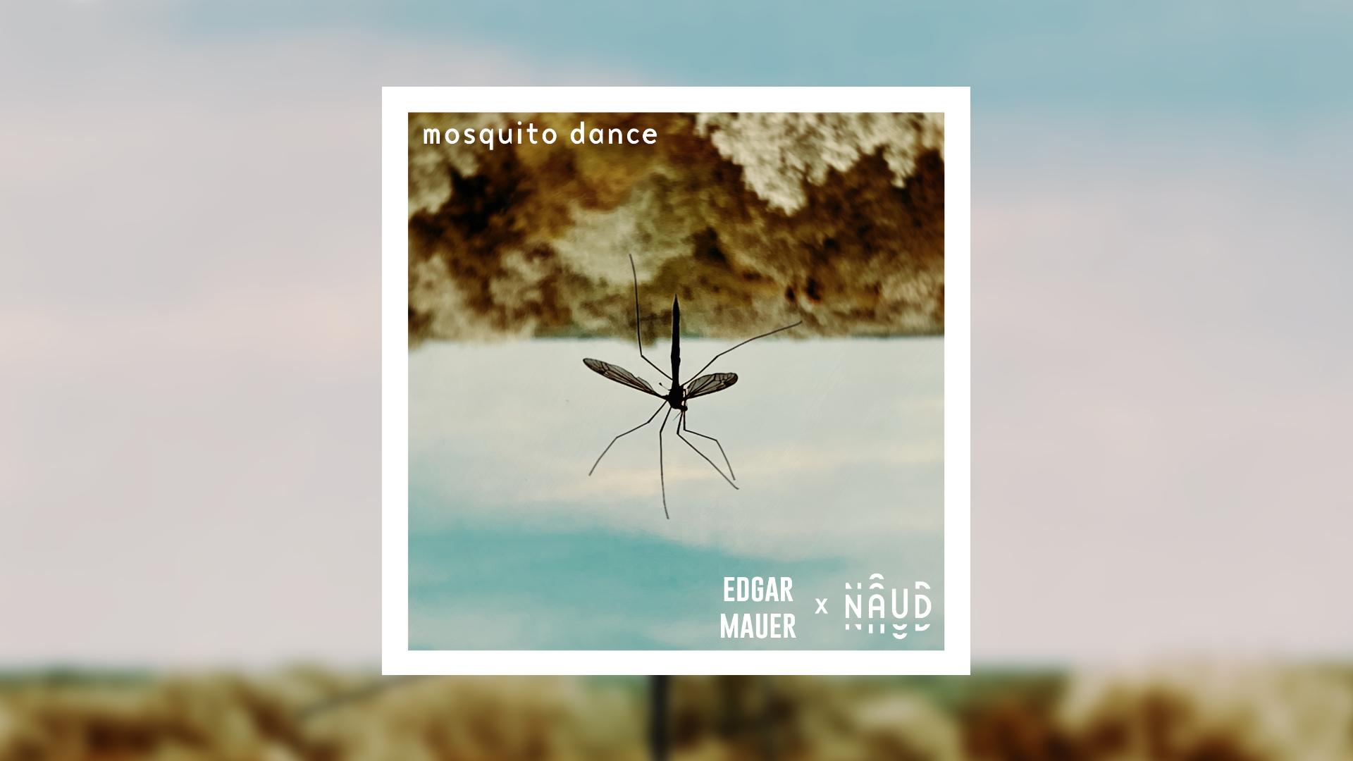 Pochette de Mosquito Dance par Naud