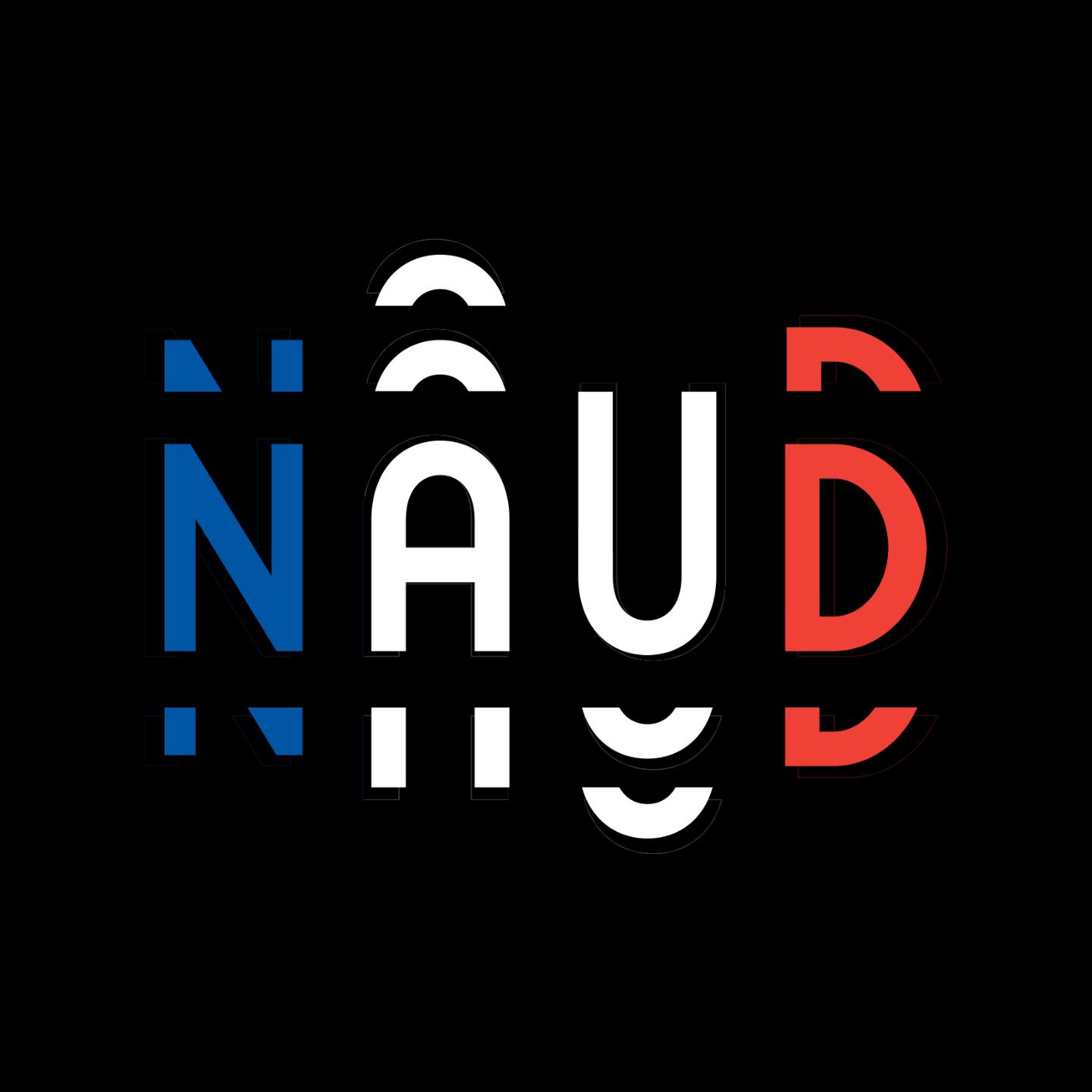 French flag Naud